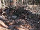 from a gallery of photos documenting the damage to the blackfox portgae trail from its reconstruction as a dogsled trail in the fall of 2011