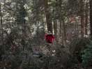 from a gallery of photos documenting the damage to the blackfox portgae trail from its reconstruction as a dogsled trail in the fall of 2011