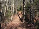from a gallery of photos documenting the damage to the blackfox portgae trail from its reconstruction as a dogsled trail in the fall of 2011