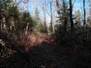 from a gallery of photos documenting the damage to the blackfox portgae trail from its reconstruction as a dogsled trail in the fall of 2011