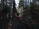 from a gallery of photos documenting the damage to the blackfox portgae trail from its reconstruction as a dogsled trail in the fall of 2011