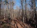from a gallery of photos documenting the damage to the blackfox portgae trail from its reconstruction as a dogsled trail in the fall of 2011