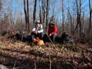from a gallery of photos documenting the damage to the blackfox portgae trail from its reconstruction as a dogsled trail in the fall of 2011