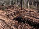 from a gallery of photos documenting the damage to the blackfox portgae trail from its reconstruction as a dogsled trail in the fall of 2011