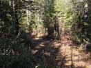 from a gallery of photos documenting the damage to the blackfox portgae trail from its reconstruction as a dogsled trail in the fall of 2011