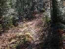 from a gallery of photos documenting the damage to the blackfox portgae trail from its reconstruction as a dogsled trail in the fall of 2011