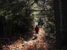 from a gallery of photos documenting the damage to the blackfox portgae trail from its reconstruction as a dogsled trail in the fall of 2011