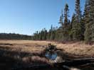 from a gallery of photos documenting the damage to the blackfox portgae trail from its reconstruction as a dogsled trail in the fall of 2011