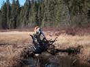 from a gallery of photos documenting the damage to the blackfox portgae trail from its reconstruction as a dogsled trail in the fall of 2011
