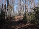 from a gallery of photos documenting the damage to the blackfox portgae trail from its reconstruction as a dogsled trail in the fall of 2011