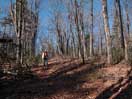 from a gallery of photos documenting the damage to the blackfox portgae trail from its reconstruction as a dogsled trail in the fall of 2011