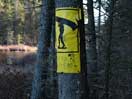 from a gallery of photos documenting the damage to the blackfox portgae trail from its reconstruction as a dogsled trail in the fall of 2011