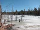 frozen wetland along the Achray Road