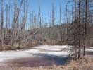 from a gallery of photos documenting an early spring drive to lake travers in algonquin park via the achray road  2013 april 17