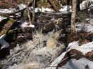 from a gallery of photos documenting an early spring drive to lake travers in algonquin park via the achray road  2013 april 17