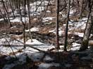 from a gallery of photos documenting an early spring drive to lake travers in algonquin park via the achray road  2013 april 17