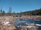 from a gallery of photos documenting an early spring drive to lake travers in algonquin park via the achray road  2013 april 17