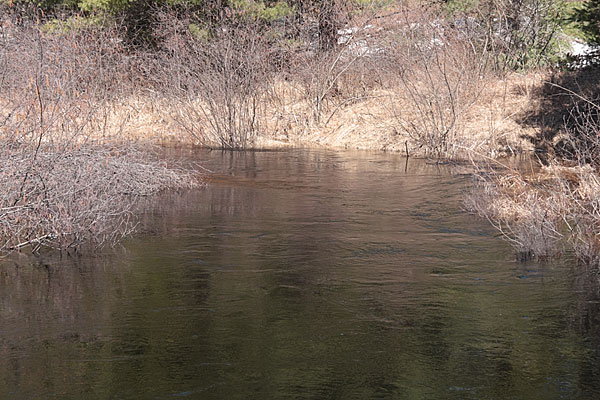 Forbes Creek along the Achray Road in Algonquin Park