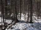 from a gallery of photos documenting an early spring drive to lake travers in algonquin park via the achray road  2013 april 17