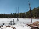 from a gallery of photos documenting an early spring drive to lake travers in algonquin park via the achray road  2013 april 17