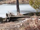 from a gallery of photos documenting an early spring drive to lake travers in algonquin park via the achray road  2013 april 17