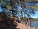 from a gallery of photos documenting an early spring drive to lake travers in algonquin park via the achray road  2013 april 17