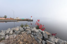 Misty Fall morning along the Deep River Waterfront
