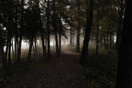 Misty Fall morning along the Deep River Waterfront