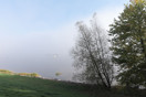 Misty Fall morning along the Deep River Waterfront