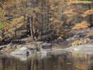 forest fire on High Falls Lake  2019 Aug 18