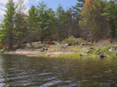 forest fire on High Falls Lake2019 Aug 22  moving day