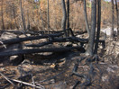 aftermath of forest fire on High Falls Lake photo from 2017 September 02