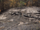 aftermath of forest fire on High Falls Lake photo from 2017 September 02