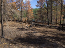 aftermath of forest fire on High Falls Lake photo from 2017 September 02