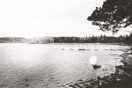 from a photo gallery showing the evolution of the deep river waterfront with particular emphasis on the reconstruction of centennial terrace in the summer of 2010