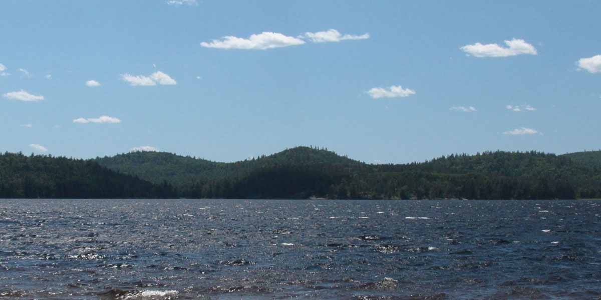 Carcajou Bay skyline from the beach adjacent to The Jackpine site