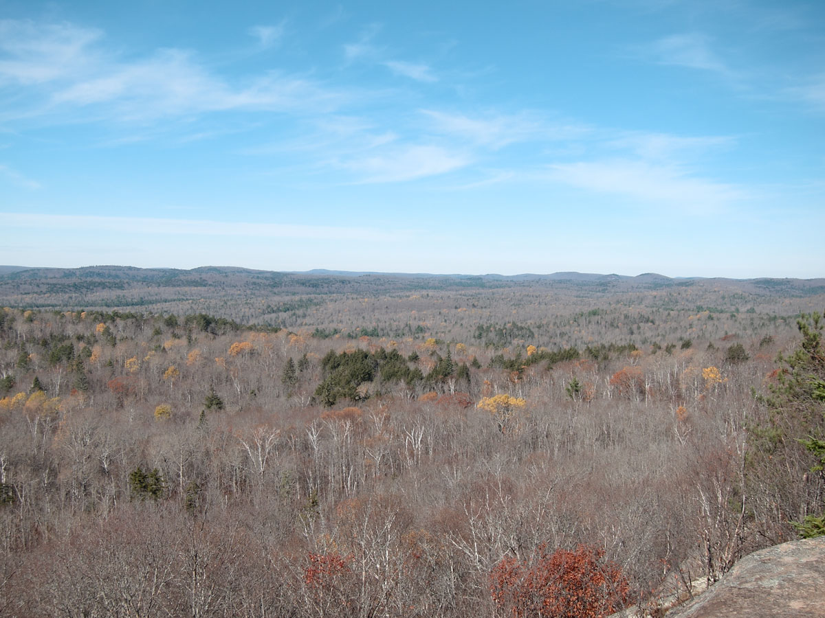 Along the Centennial Ridges Trail in Algonquin Park looking north of Hwy 60