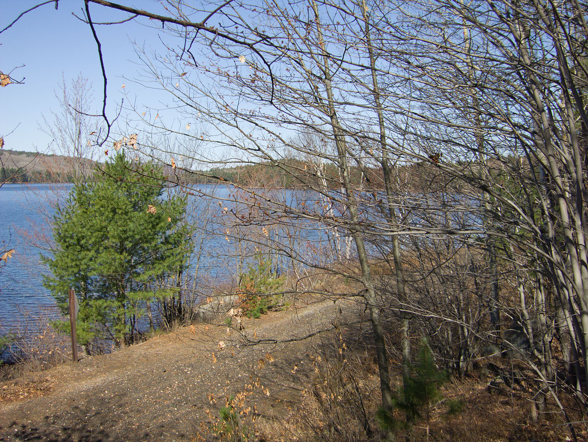 Along the shore of Grand Lake in Algonquin Park