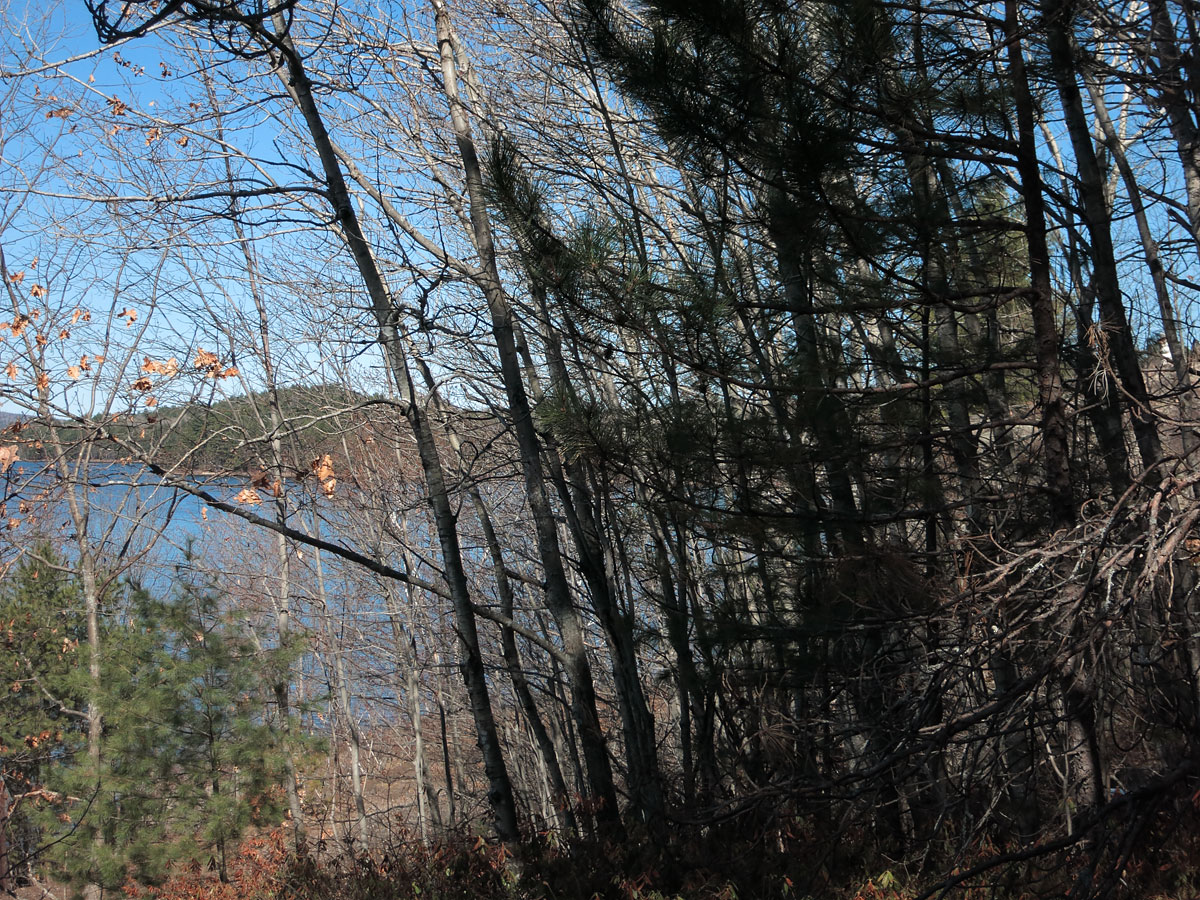 Along the shore of Grand Lake in Algonquin Park