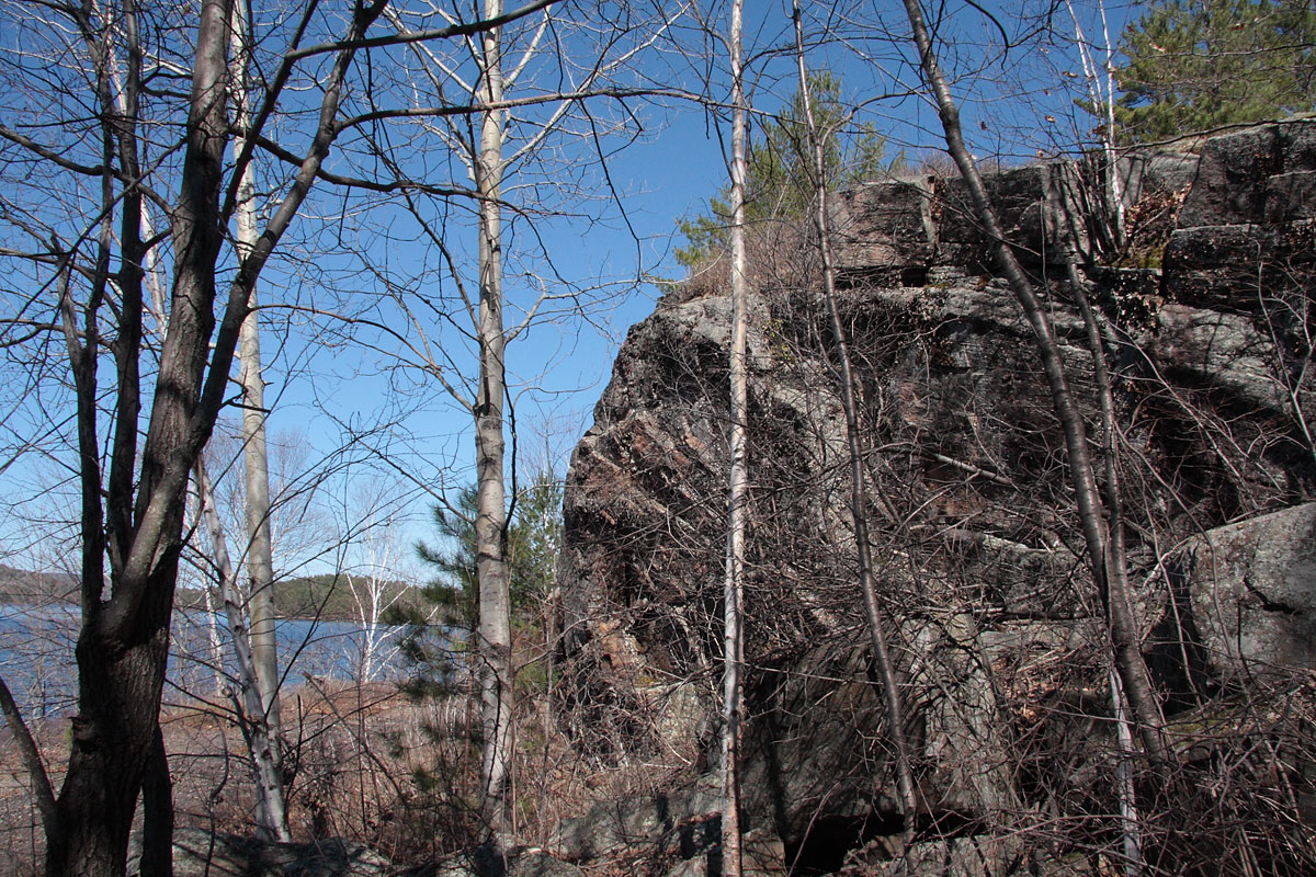Along the shore of Grand Lake in Algonquin Park
