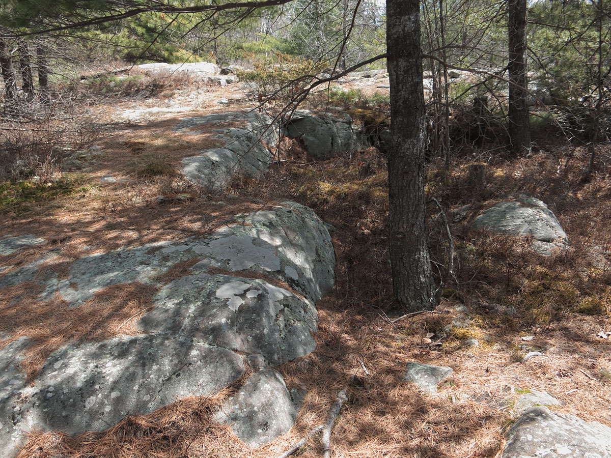 Well placed comfortable natural seating at the Jack Pine site
