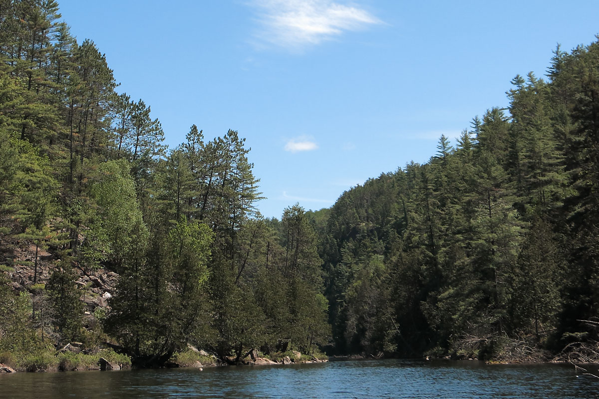 Gorges of the Petawawa Barron Canyon on Barron River in Algonquin Park