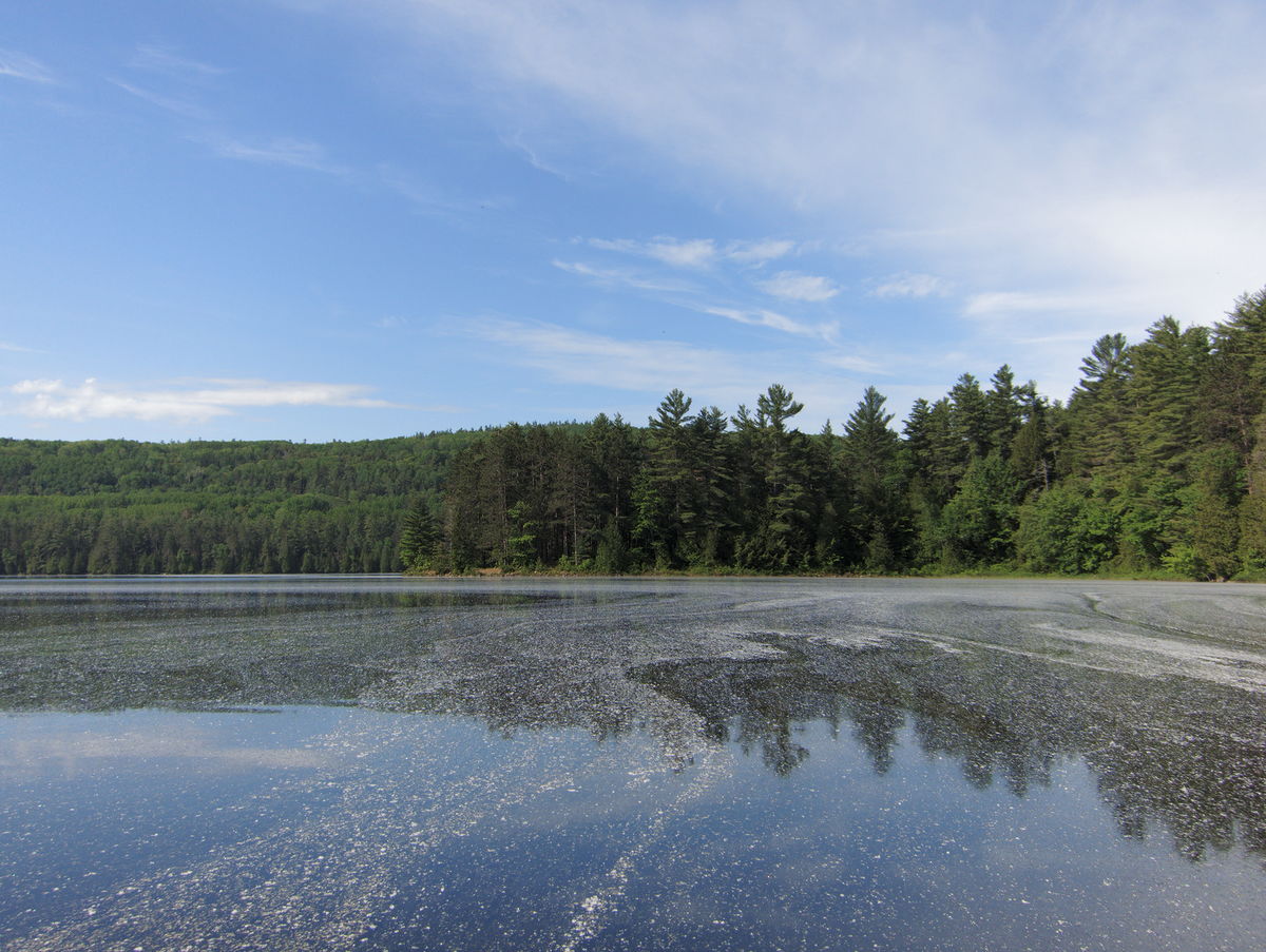 Three nights on St Andrews Lake