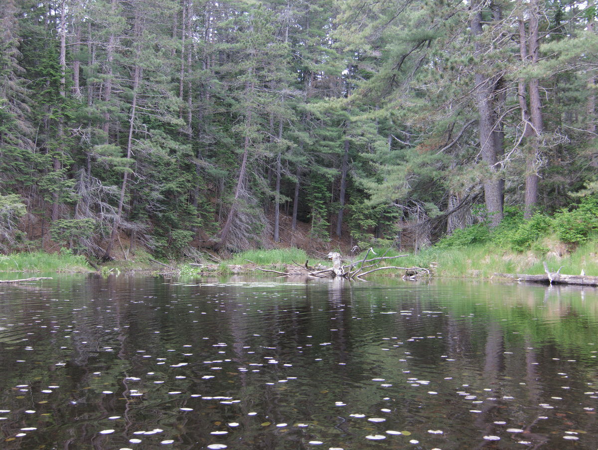 Three nights on St Andrews Lake