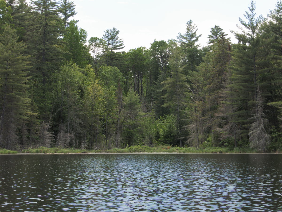 Three nights on St Andrews Lake