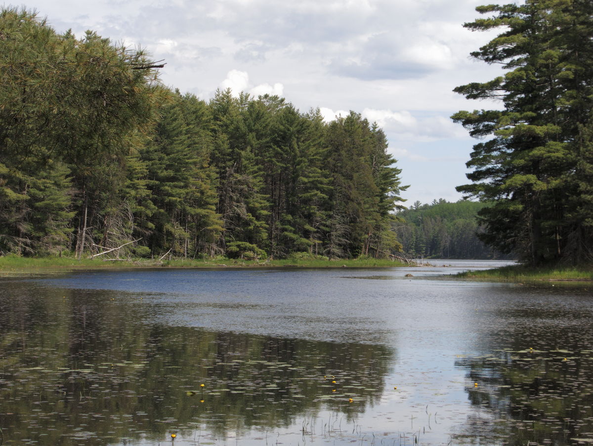 Three nights on St Andrews Lake