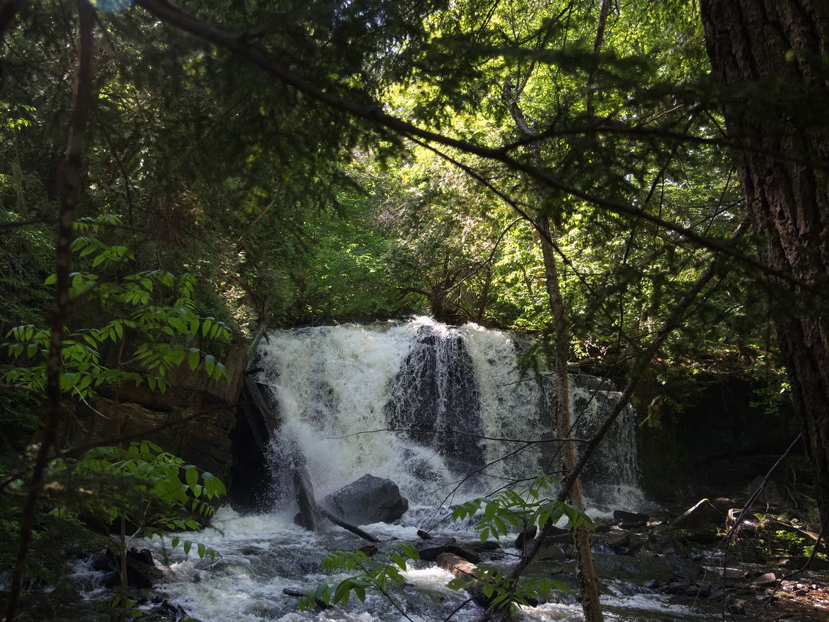 Waterfall on the Barron River between St Andrews Lake and High Falls Lake in Algonquin Park