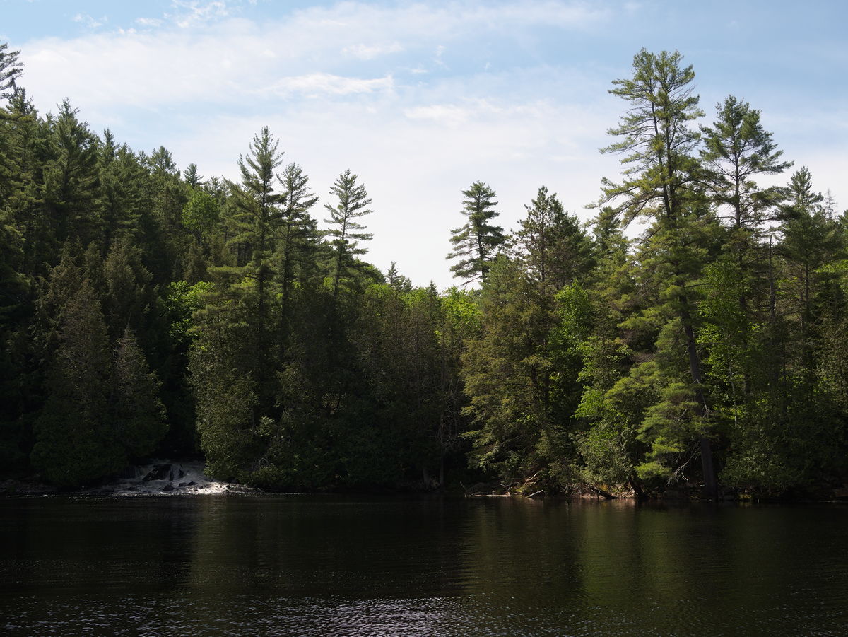 Outflow of the Barron River into High Falls Lake in Algonquin Park