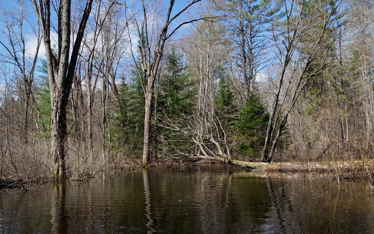 Morning paddle Ottawa River 20230505 with Richard Indian Creek Schyan Kennedy Creek