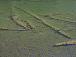 navigational icon